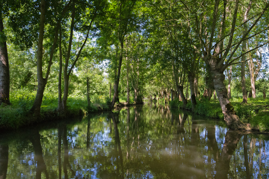 The Marais Poitevin and Angles sur l’Anglin