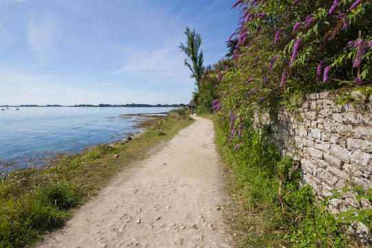 Ile-aux-Moines, Morbihan