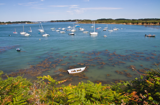 Kayaking in the Gulf of Morbihan