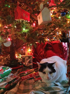 Happy Holidays from Paris Weekender!
