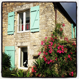 Marais Poitevin, La Rochelle, Ile de Re-11