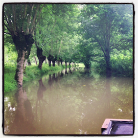 The Marais Poitevin, La Rochelle & Île de Ré