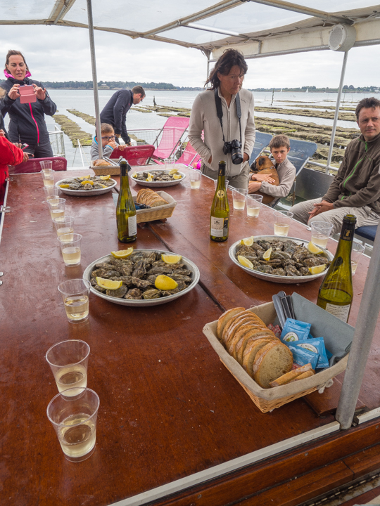 Touring Oyster Beds in the Gulf of Morbihan