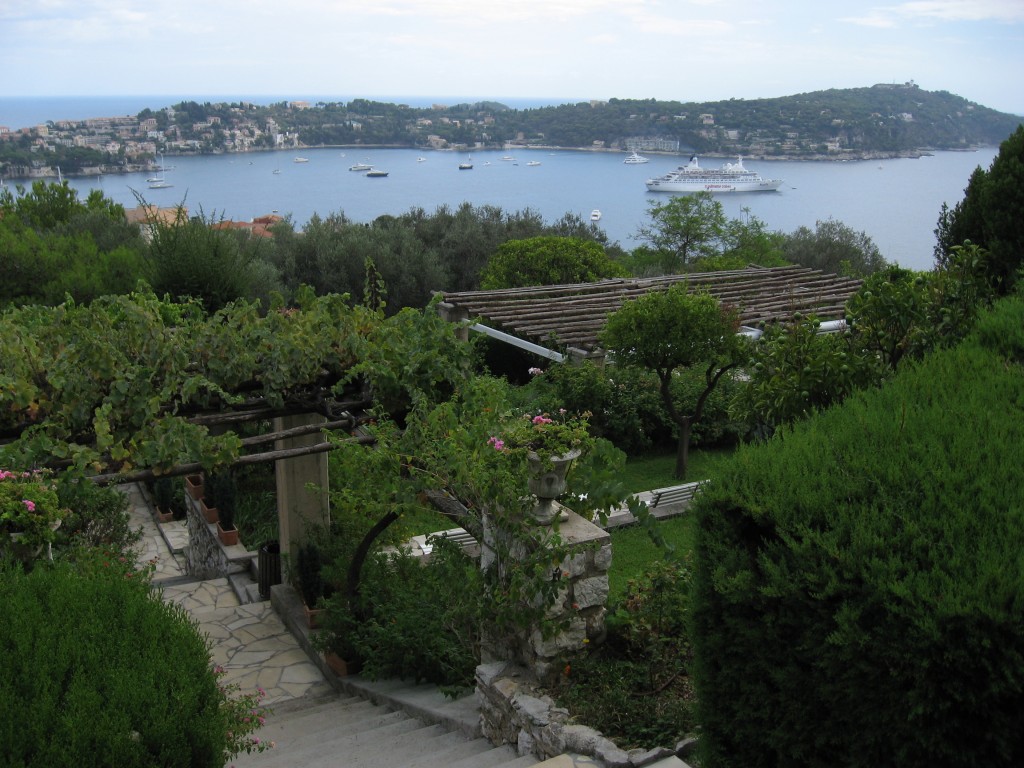 The garden at the Institut