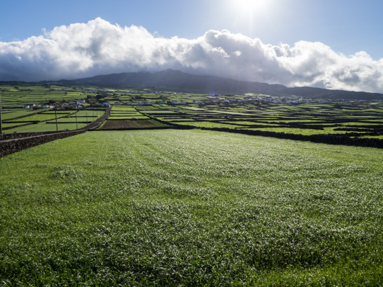 A Week in the Azores